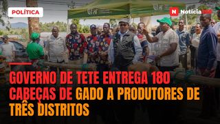 Governo de Tete entrega 180 cabeças de gado a produtores de três distritos