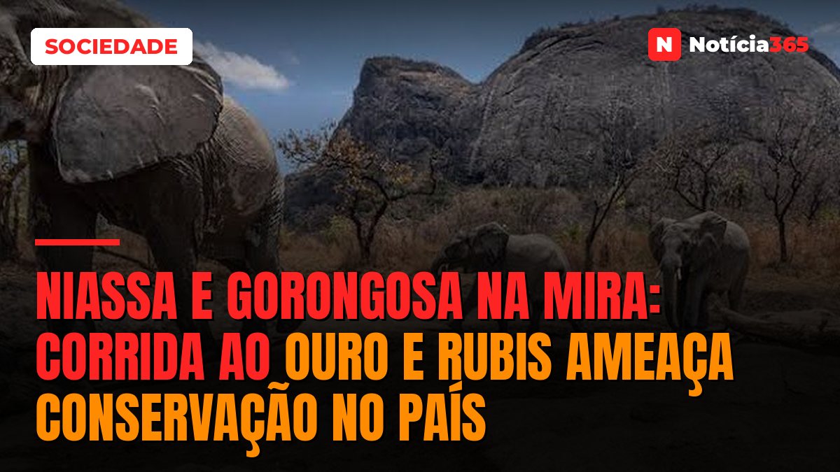 Niassa e Gorongosa na mira: Corrida ao ouro e rubis ameaça conservação no país