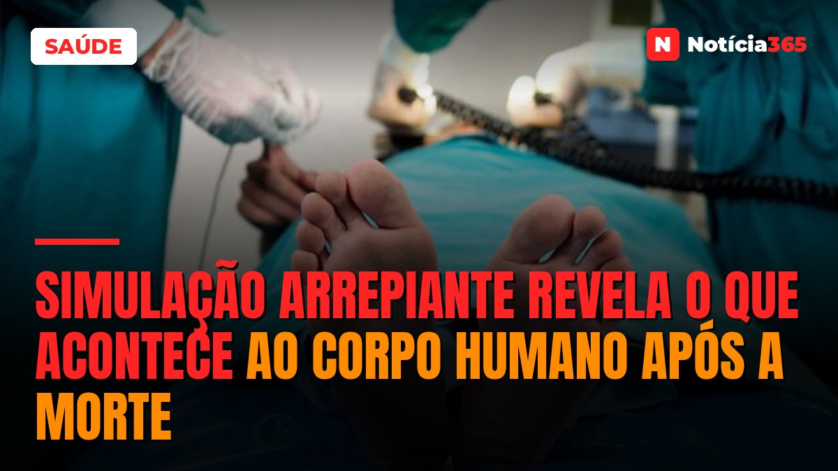 Simulação arrepiante revela o que acontece ao corpo humano após a morte