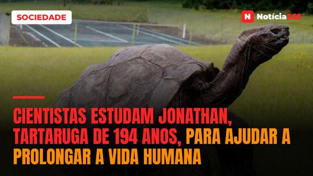 Cientistas estudam Jonathan, tartaruga de 194 anos, para ajudar a prolongar a vida humana