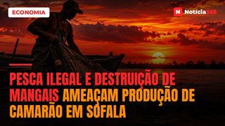 Pesca ilegal e destruição de mangais ameaçam produção de camarão em Sofala