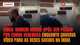 Vídeo: Homem morre após ser picado por cobra venenosa enquanto gravava vídeo para as redes sociais na Índia
