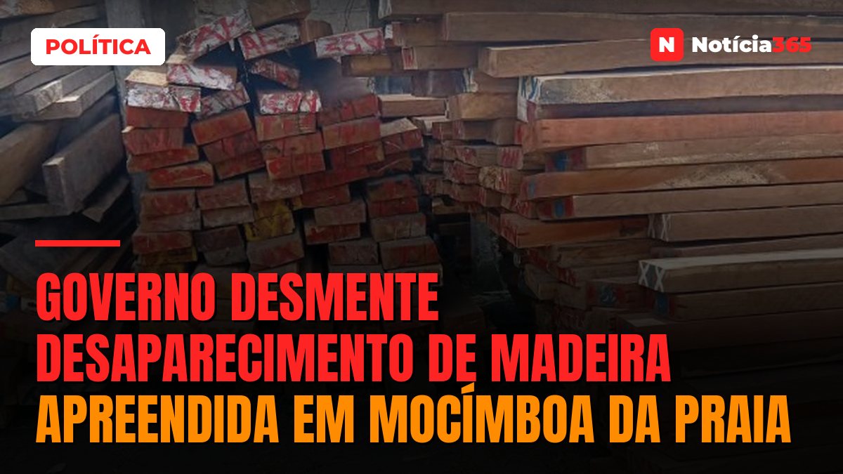 Governo desmente desaparecimento de madeira apreendida em Mocímboa da Praia