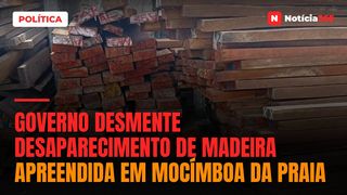 Governo desmente desaparecimento de madeira apreendida em Mocímboa da Praia