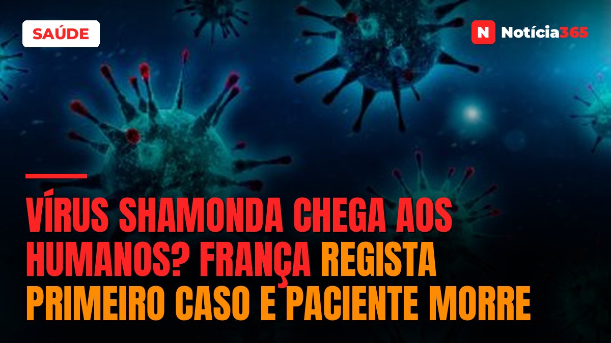 Vírus Shamonda chega aos humanos? França regista primeiro caso e paciente morre