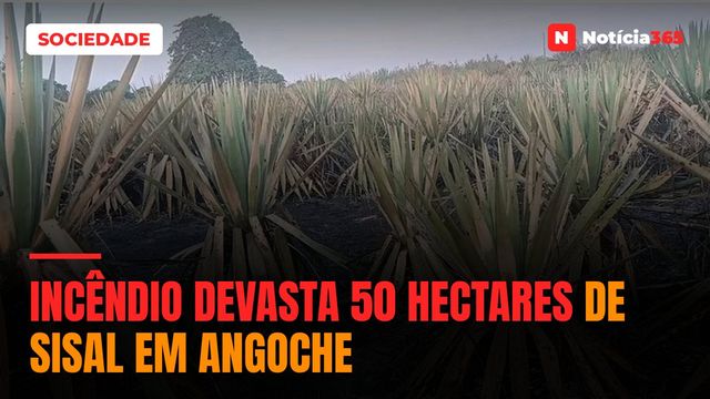 Incêndio devasta 50 hectares de sisal em Angoche