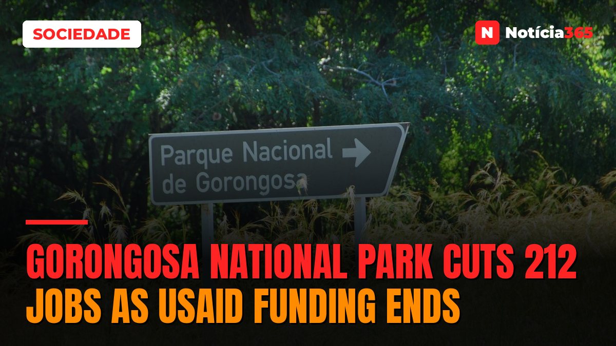Gorongosa National Park cuts 212 jobs as USAID funding ends