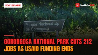 Gorongosa National Park cuts 212 jobs as USAID funding ends